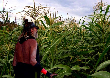 Man in Corn is not Banksy