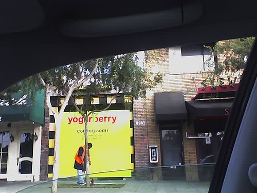 Craptastic Cell Phone Photo of the Week: Yet Another Yogurt Shop
