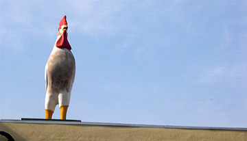 Photo Op: The Third Street Chicken