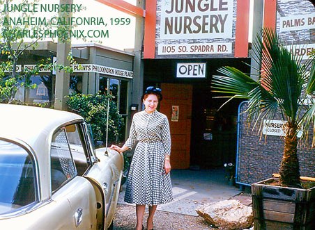 Charles Phoenix’s Slide of the Week: The Jungle, Anaheim, 1959